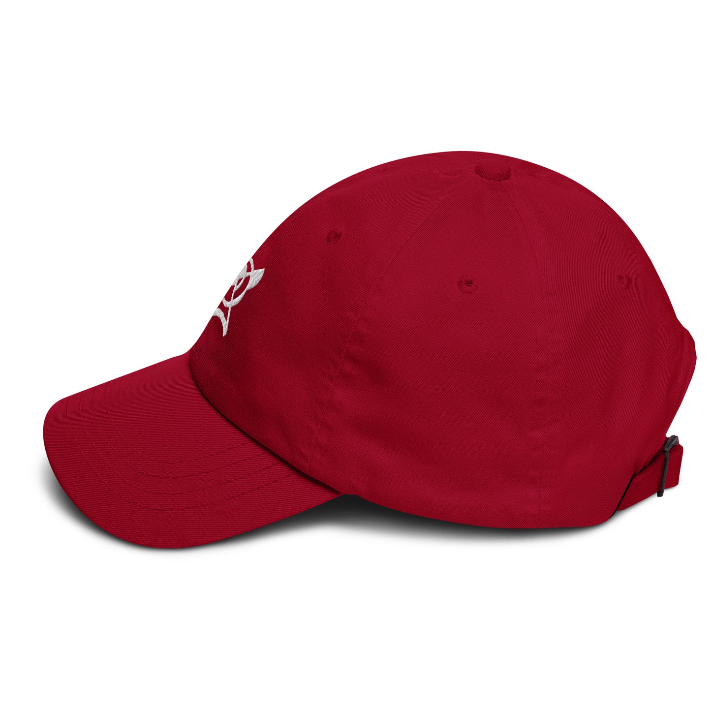 OVS Logo Dad hat